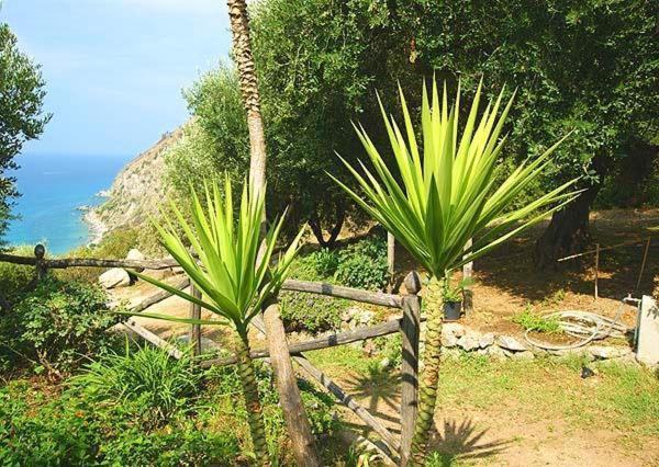 Villa Gemma Joppolo Buitenkant foto